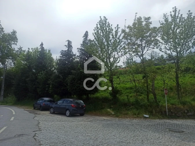 Terreno para Venda em Mesão Frio Foto 9