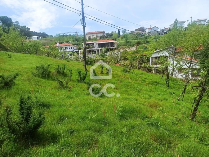 Terreno para Venda em Mesão Frio Foto 7