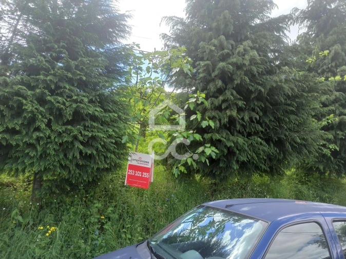 Terreno para Venda em Mesão Frio Foto 13