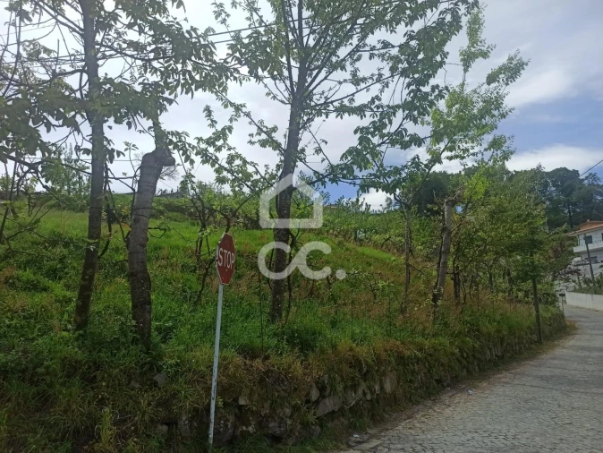 Terreno para Venda em Mesão Frio Foto 11