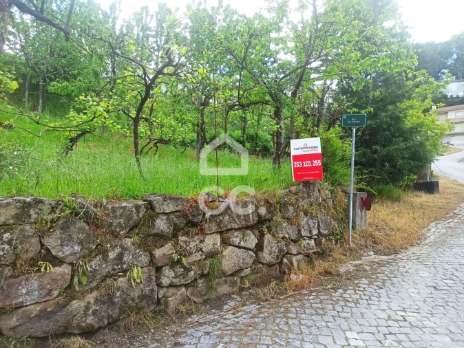 Terreno para Venda em Mesão Frio Foto 16