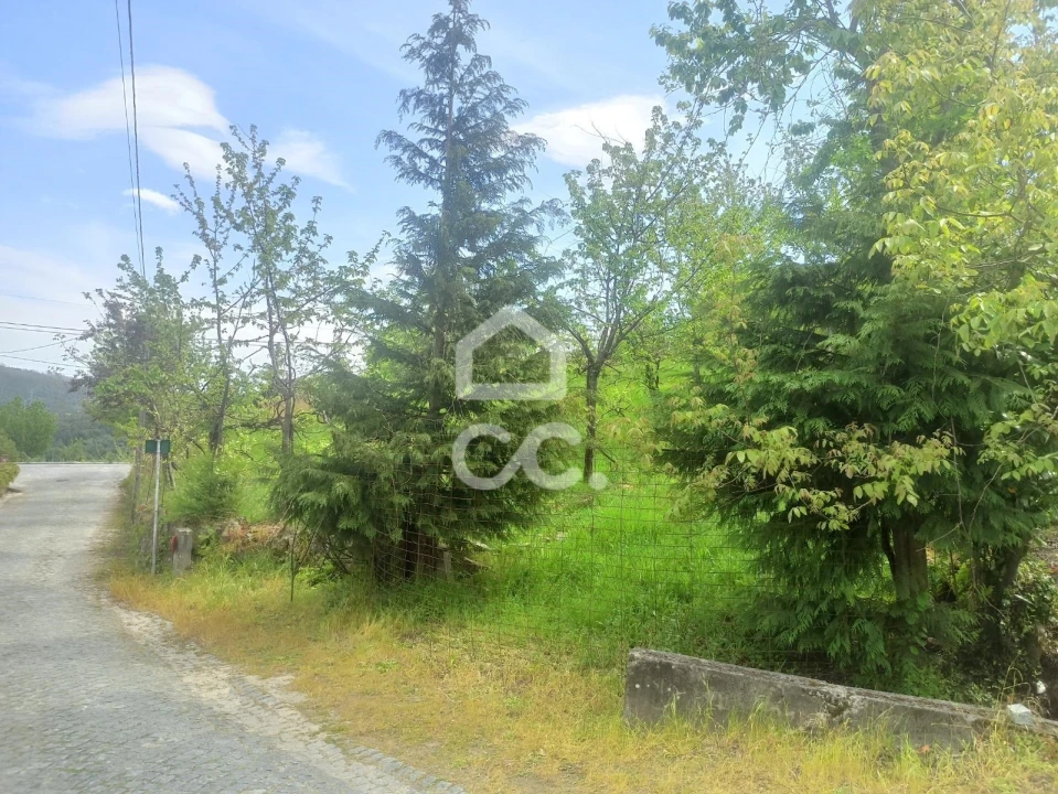 Terreno para Venda em Mesão Frio Foto 10