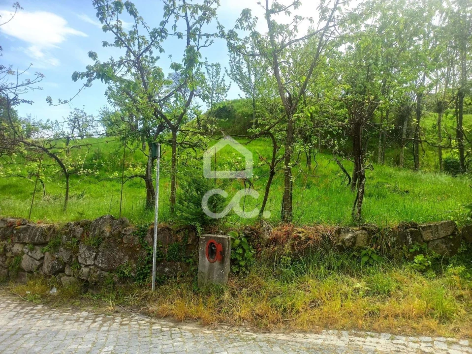 Terreno para Venda em Mesão Frio Foto 8