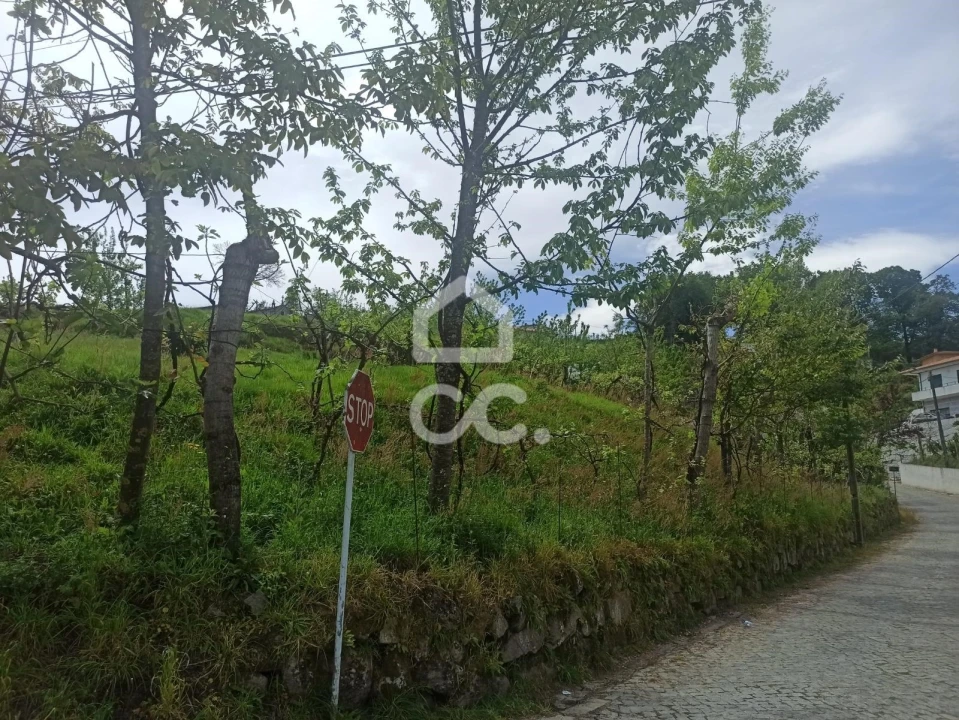 Terreno para Venda em Mesão Frio Foto 11