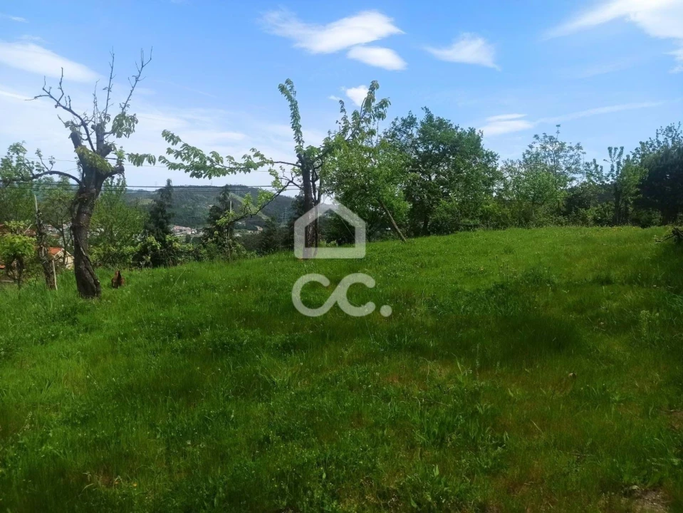 Terreno para Venda em Mesão Frio Foto 6