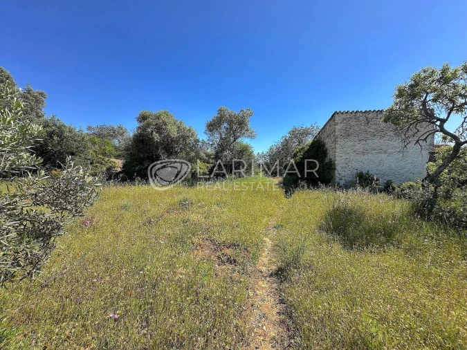 Terreno para Venda em Loule (São Clemente) Foto 9