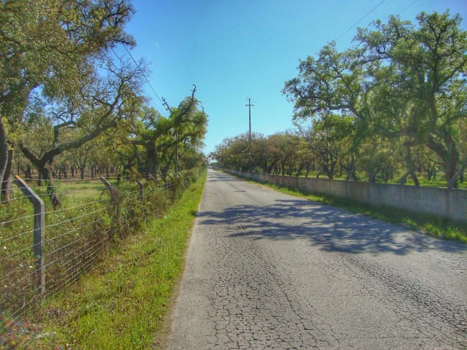 Terreno para Venda em Alcochete Foto 36