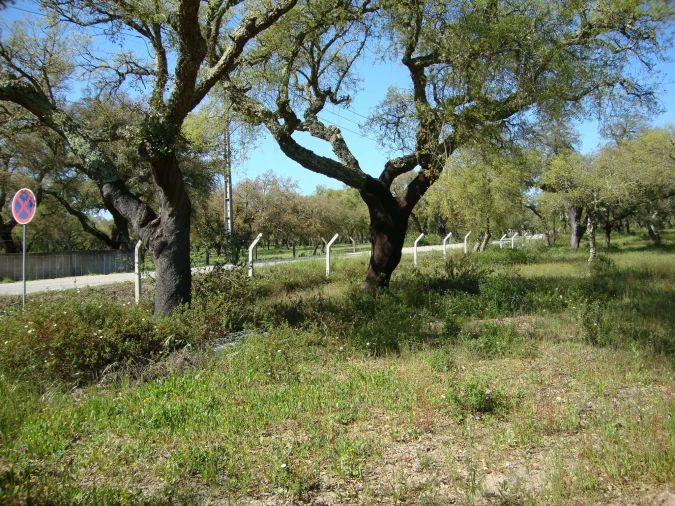 Terreno para Venda em Alcochete Foto 9
