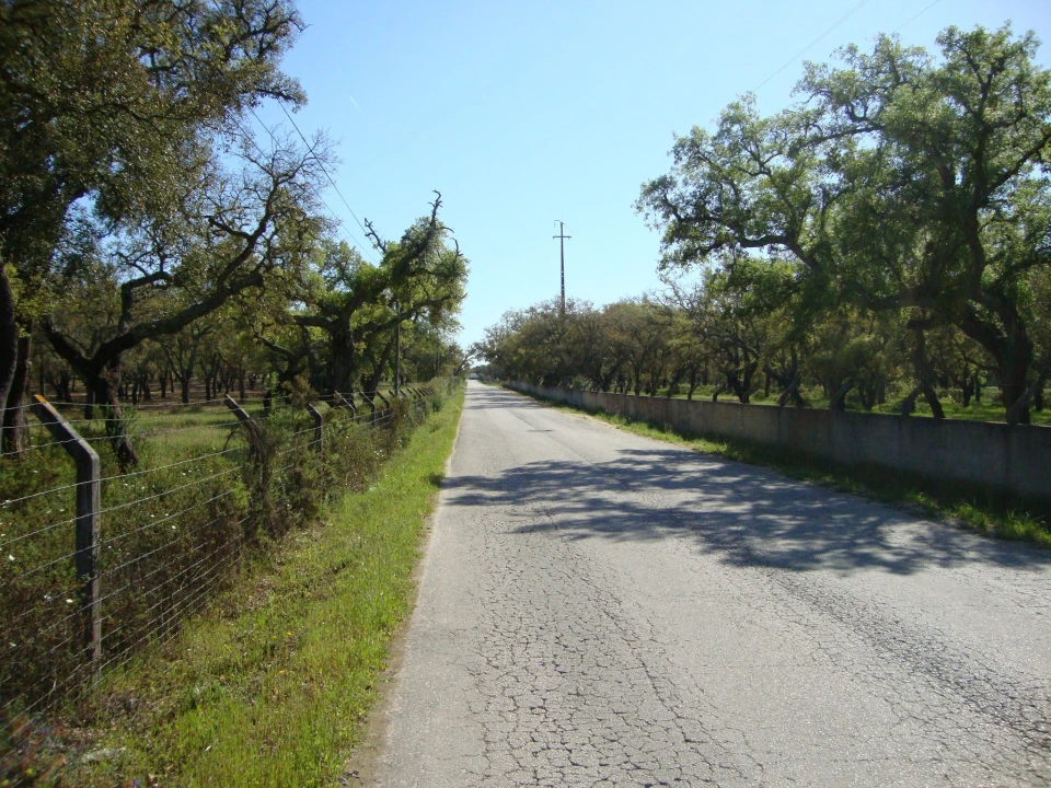Terreno para Venda em Alcochete Foto 10
