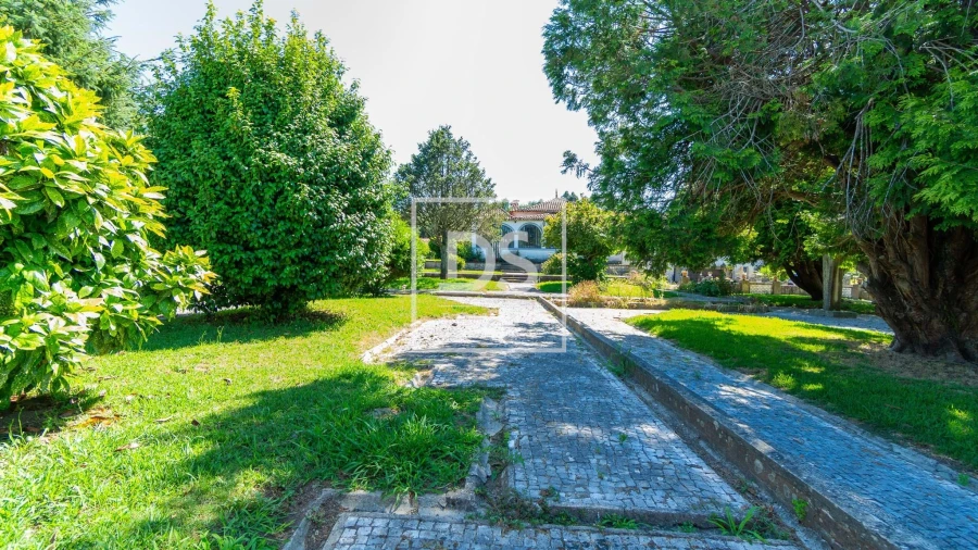 Quinta T20 para Venda em Vilar de Pinheiro Foto 13