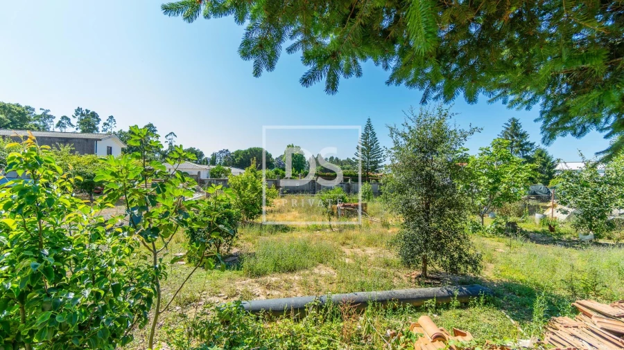 Quinta T20 para Venda em Vilar de Pinheiro Foto 28