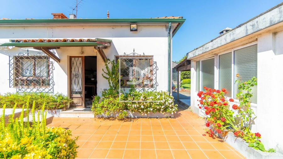 Quinta T20 para Venda em Vilar de Pinheiro Foto 37