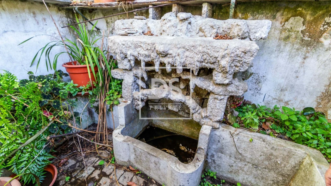 Quinta T20 para Venda em Vilar de Pinheiro Foto 85