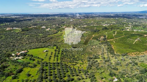 Moradia T3 para Venda em Silves