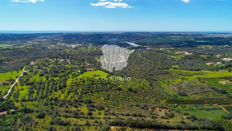 Moradia T3 para Venda em Silves