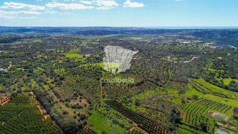 Moradia T3 para Venda em Silves