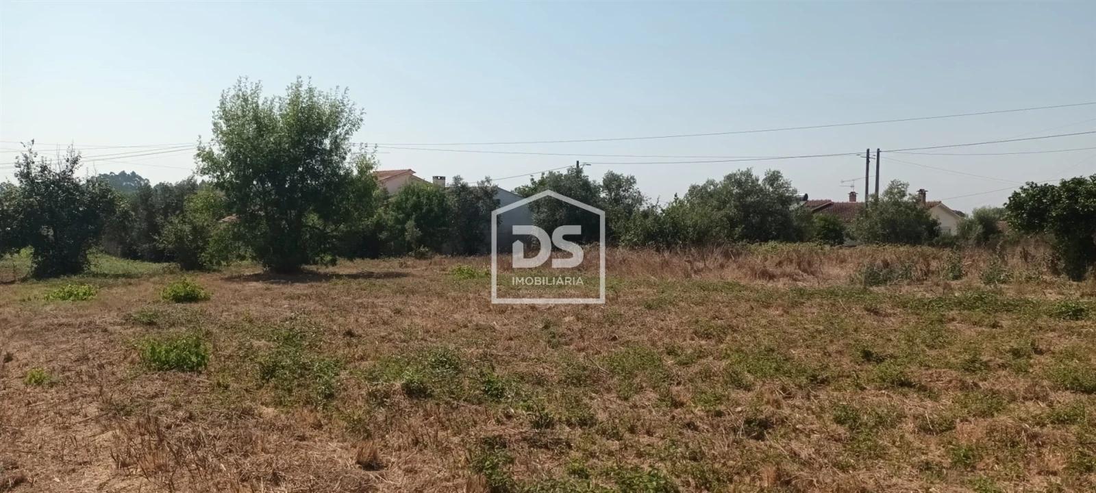 Terreno para Venda em Porto de Mós - São João Baptista e São Pedro Foto 4