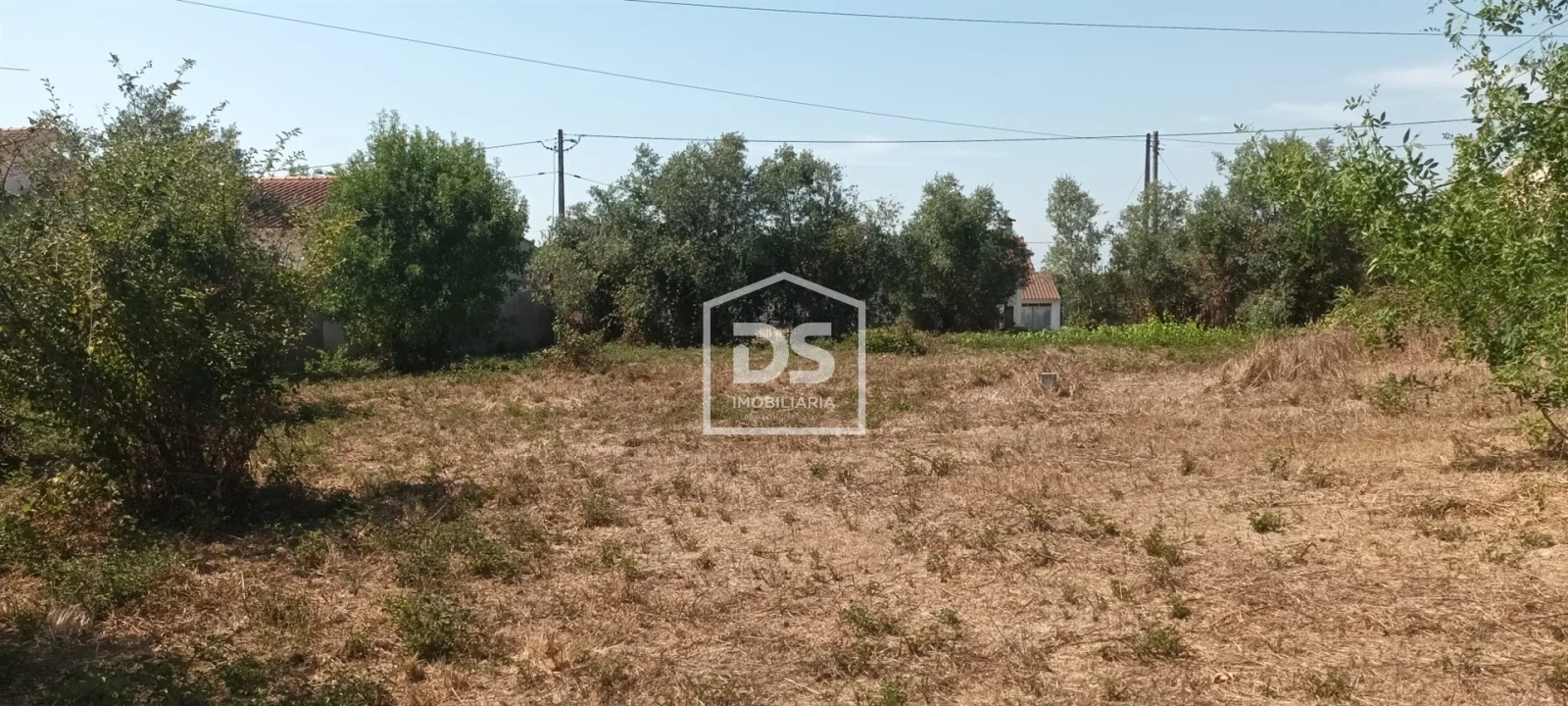 Terreno para Venda em Porto de Mós - São João Baptista e São Pedro Foto 7