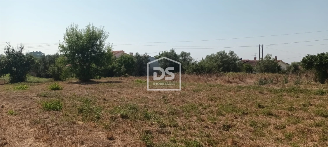 Terreno para Venda em Porto de Mós - São João Baptista e São Pedro Foto 4