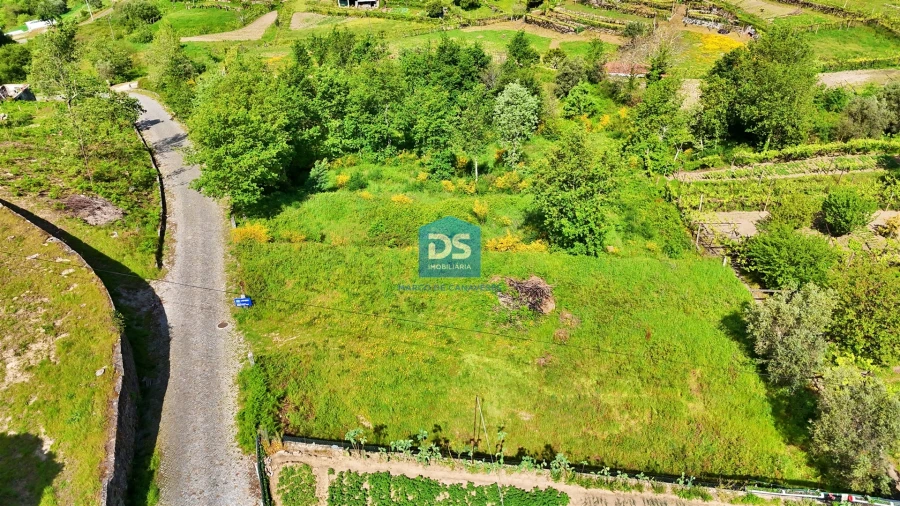 Terreno para Venda em Penhalonga e Paços de Gaiolo Foto 6