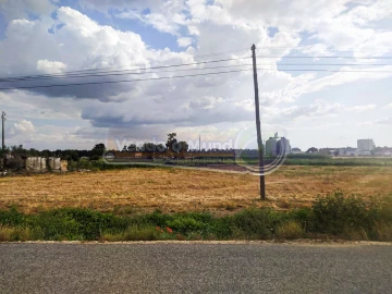 Terreno para Venda em Salvaterra de Magos e Foros de Salvaterra