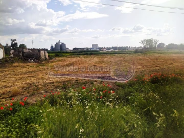 Terreno para Venda em Salvaterra de Magos e Foros de Salvaterra