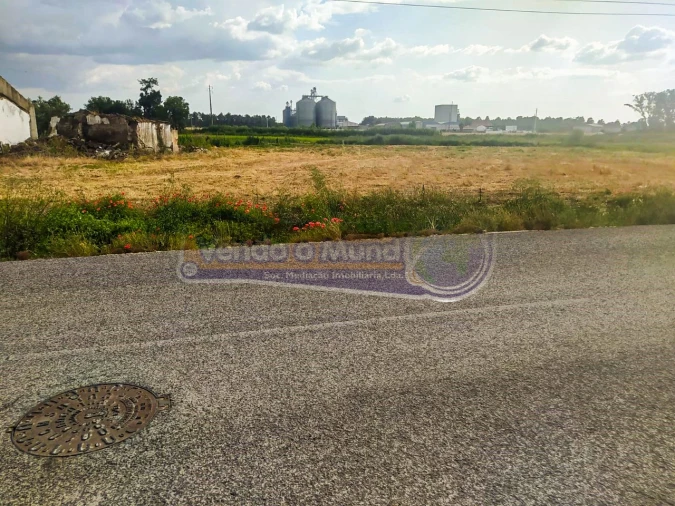Terreno para Venda em Salvaterra de Magos e Foros de Salvaterra Foto 4