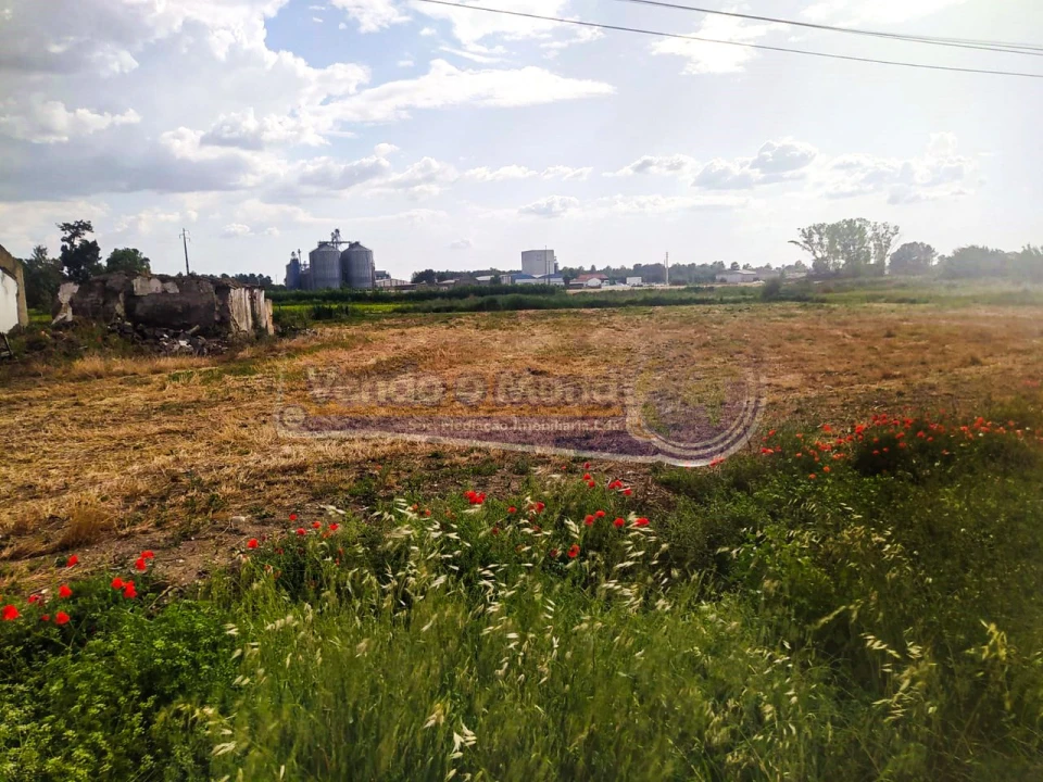 Terreno para Venda em Salvaterra de Magos e Foros de Salvaterra Foto 3