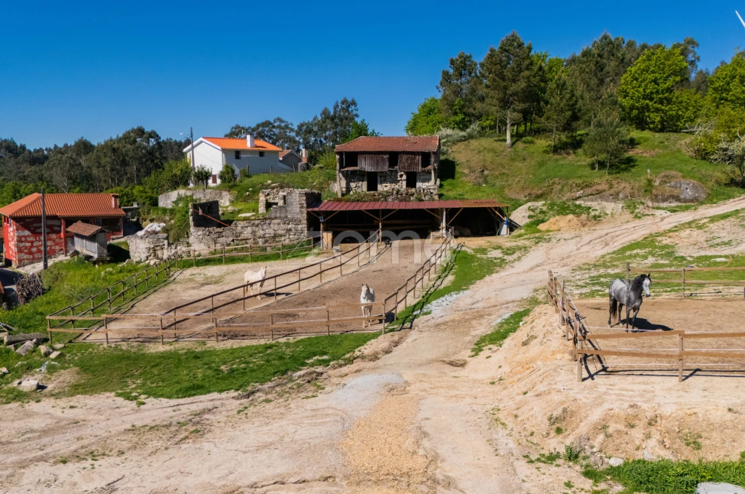 Moradia T1 para Venda em Refojos de Basto, Outeiro e Painzela Foto 5