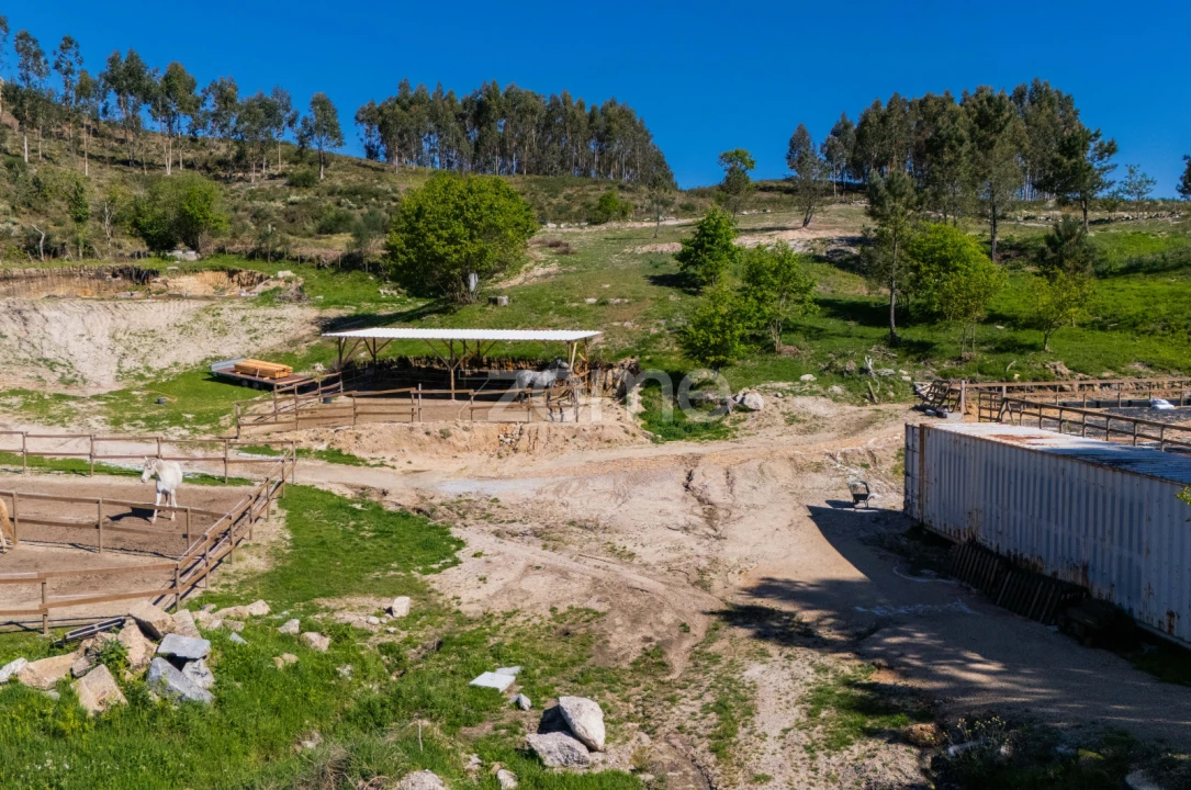 Moradia T1 para Venda em Refojos de Basto, Outeiro e Painzela Foto 16