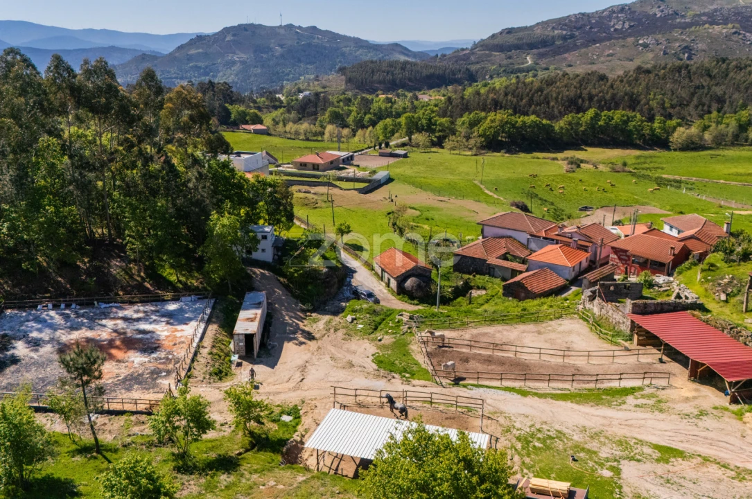 Moradia T1 para Venda em Refojos de Basto, Outeiro e Painzela Foto 4