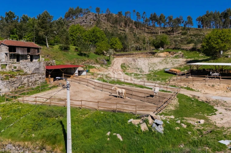 Moradia T1 para Venda em Refojos de Basto, Outeiro e Painzela Foto 15