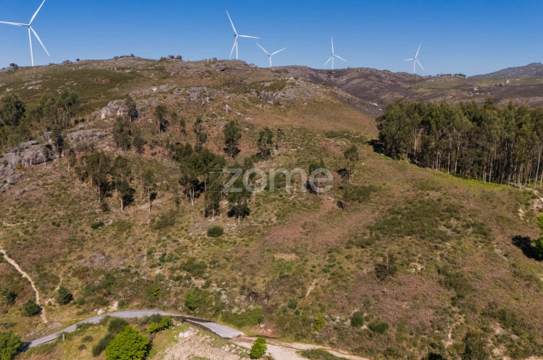 Moradia T1 para Venda em Refojos de Basto, Outeiro e Painzela Foto 27