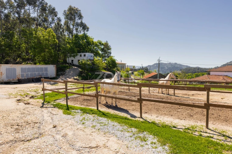 Moradia T1 para Venda em Refojos de Basto, Outeiro e Painzela Foto 10