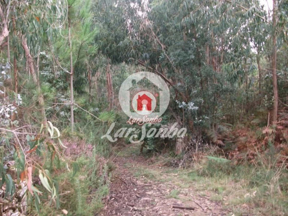 Terreno Agricola ou Rústico para Venda em Fornelo e Vairão Foto 6