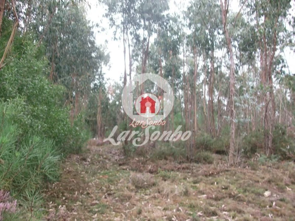 Terreno Agricola ou Rústico para Venda em Fornelo e Vairão Foto 8