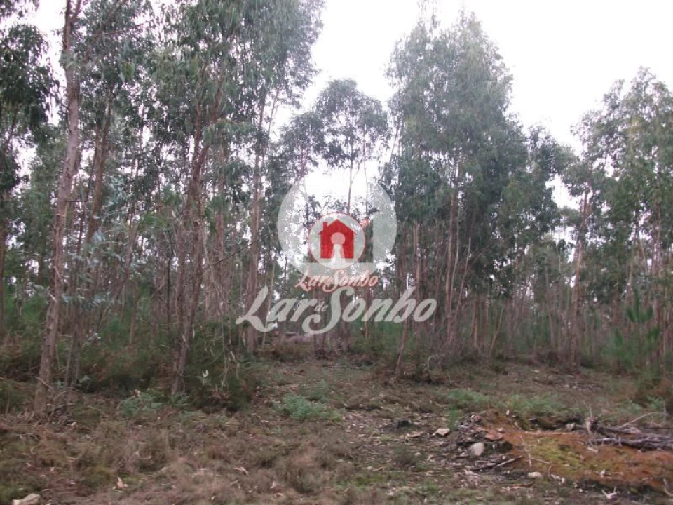 Terreno Agricola ou Rústico para Venda em Fornelo e Vairão Foto 9
