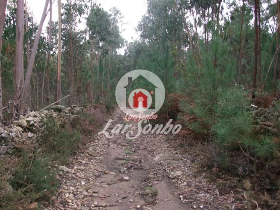 Terreno Agricola ou Rústico para Venda em Fornelo e Vairão Foto 11