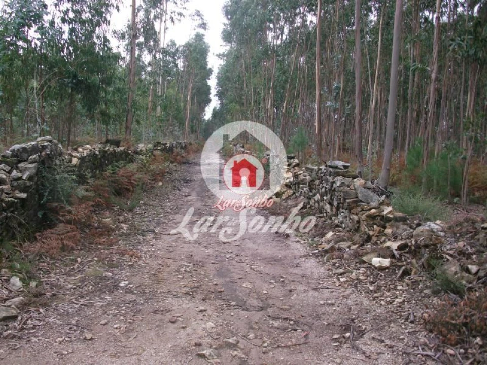 Terreno Agricola ou Rústico para Venda em Fornelo e Vairão Foto 1