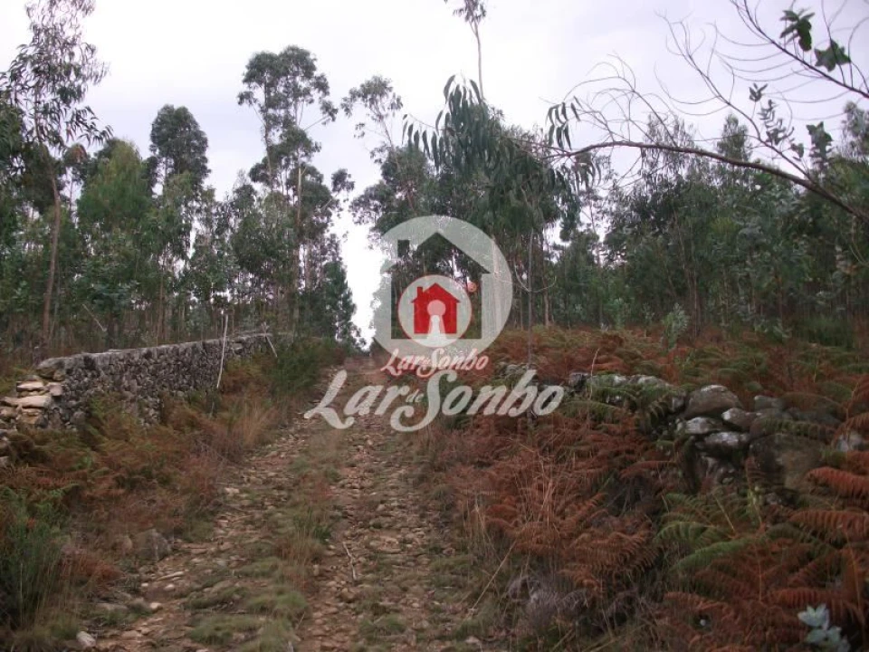 Terreno Agricola ou Rústico para Venda em Fornelo e Vairão Foto 12