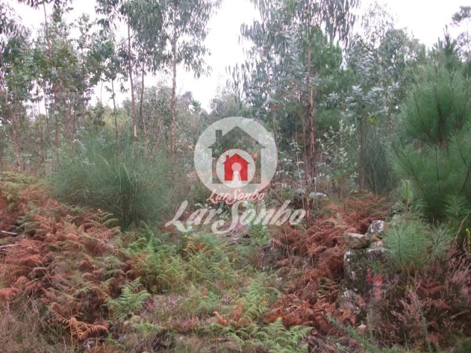 Terreno Agricola ou Rústico para Venda em Fornelo e Vairão Foto 13