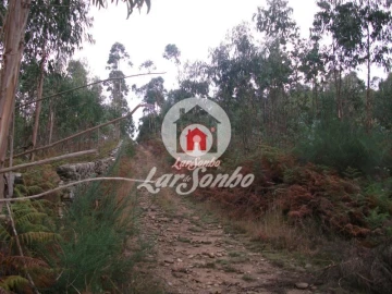 Terreno Agricola ou Rústico para Venda em Fornelo e Vairão
