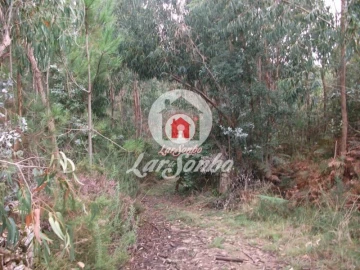 Terreno Agricola ou Rústico para Venda em Fornelo e Vairão