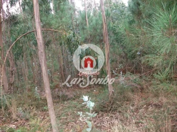 Terreno Agricola ou Rústico para Venda em Fornelo e Vairão