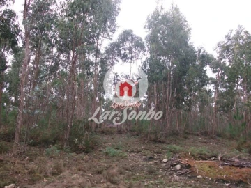 Terreno Agricola ou Rústico para Venda em Fornelo e Vairão