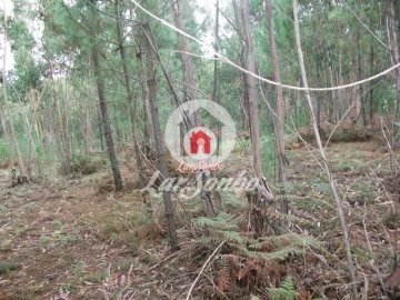Terreno Agricola ou Rústico para Venda em Fornelo e Vairão