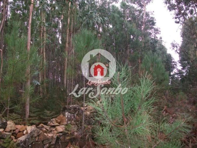 Terreno Agricola ou Rústico para Venda em Fornelo e Vairão Foto 3
