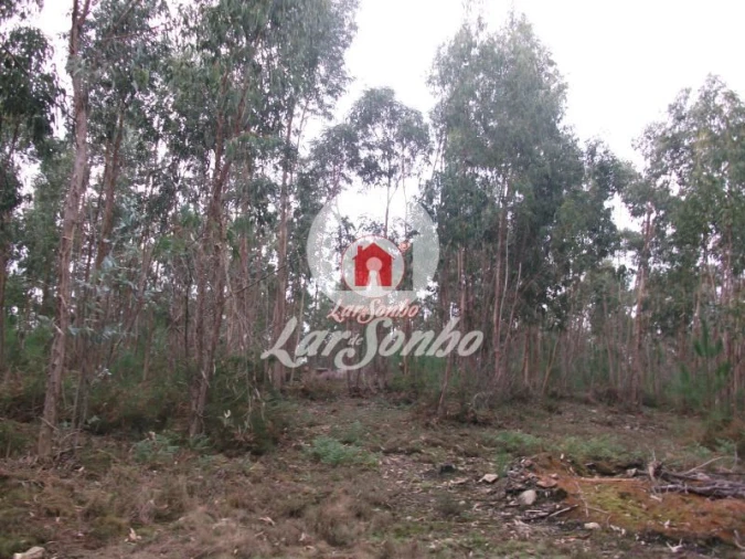 Terreno Agricola ou Rústico para Venda em Fornelo e Vairão Foto 9