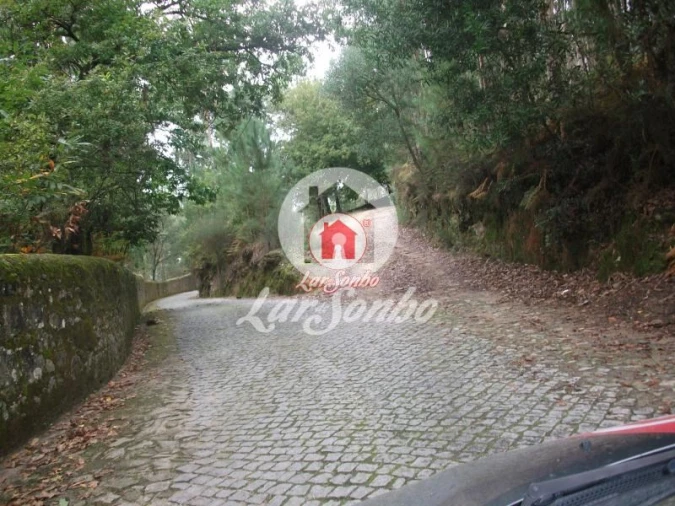 Terreno Agricola ou Rústico para Venda em Fornelo e Vairão Foto 15