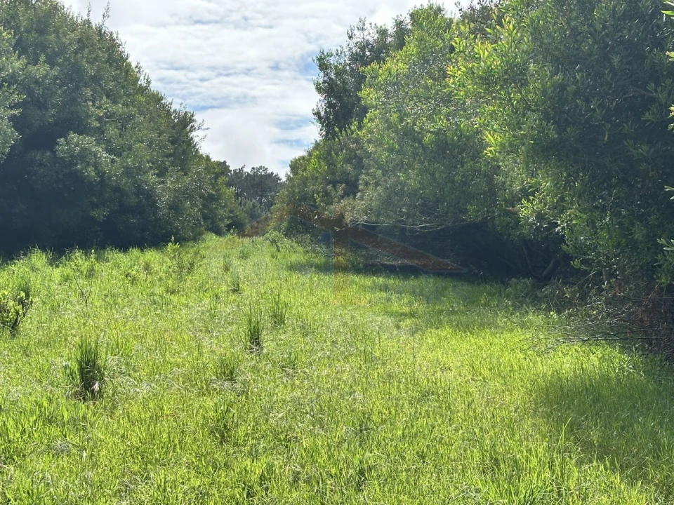 Terreno para Venda em Atouguia da Baleia Foto 4